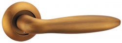 BASIS-CF