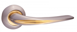 INDH-88-08-SNGP15