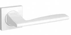 KMWH-19